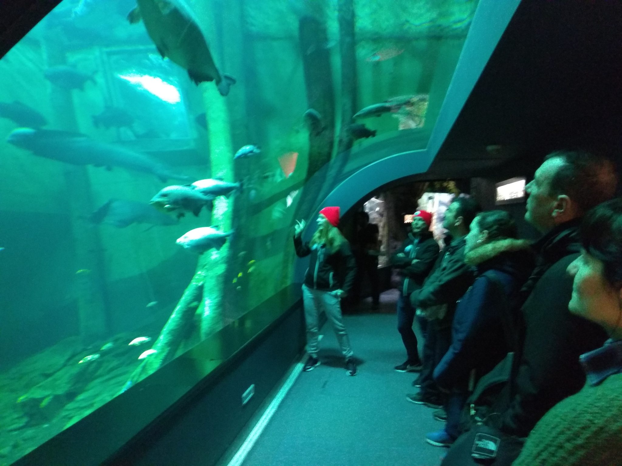 Buceo en el acuario de Zaragoza – Viajes de AA y JC